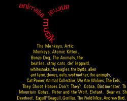 animalia musik 