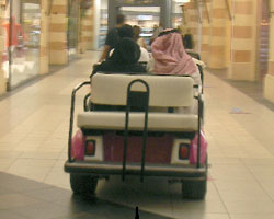 travelling trough Ibn batuta