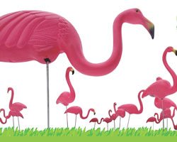 garden flamingos