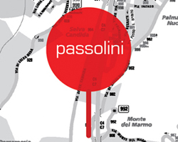 passolini: roma la citta, la vita, la morte