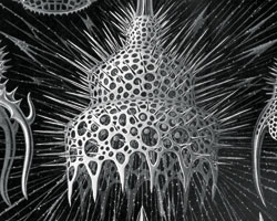 the monumental door created in a microscope