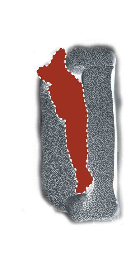 hurrengoa